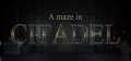 A maze in Citadel Logo