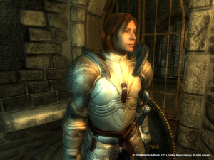 The Elder Scrolls IV: Oblivion® Game of the Year Edition 26