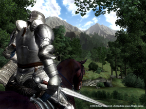 The Elder Scrolls IV: Oblivion® Game of the Year Edition 27